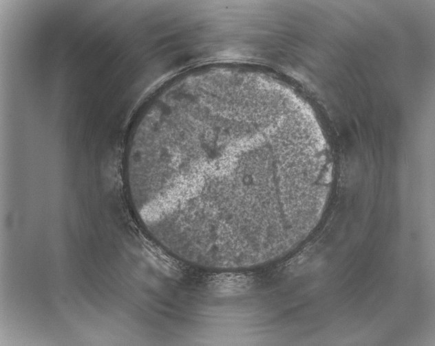 X0000072531314200608111736