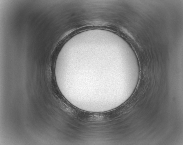 X0000072531315200608111736