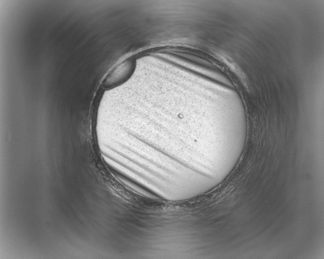 X0000072531316200608111736