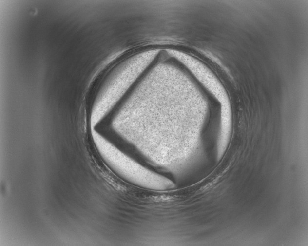 X0000072531317200608111736