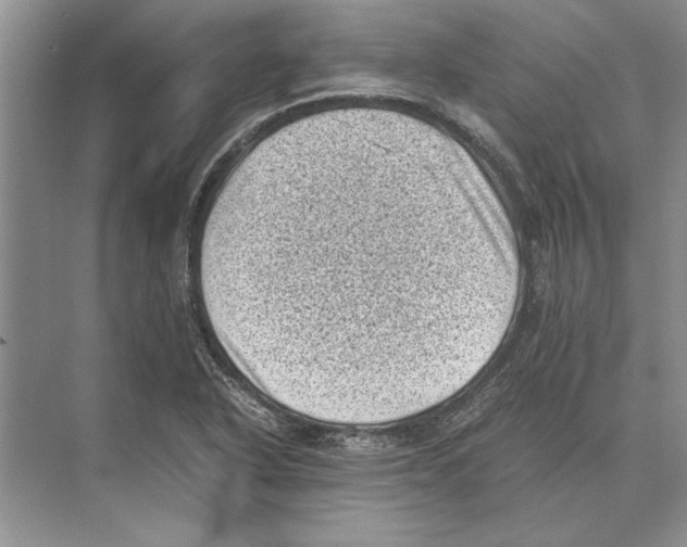 X0000072531318200608111736