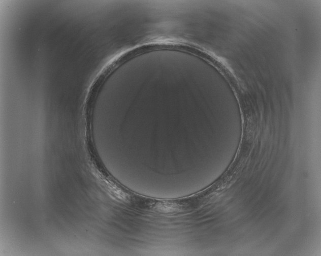 X0000072531319200608111736