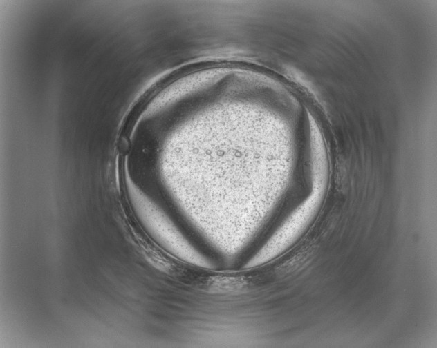 X0000072531320200608111736