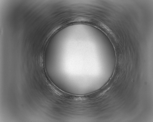 X0000072531321200608111736