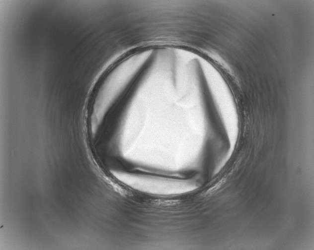 X0000072531325200608111736