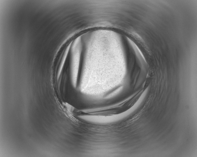 X0000072531326200608111736