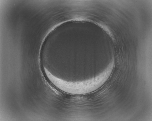 X0000072531327200608111736