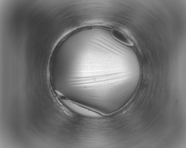 X0000072531328200608111736