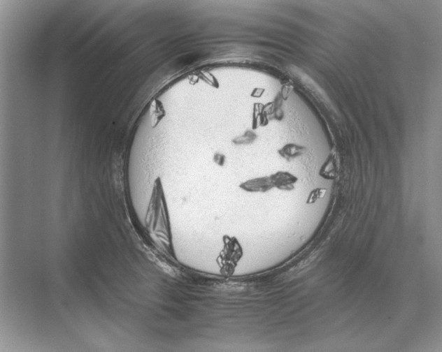 X0000072531329200608111736