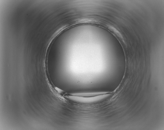 X0000072531330200608111736