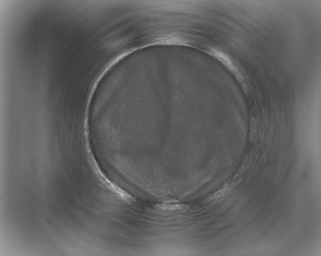 X0000072531331200608111736