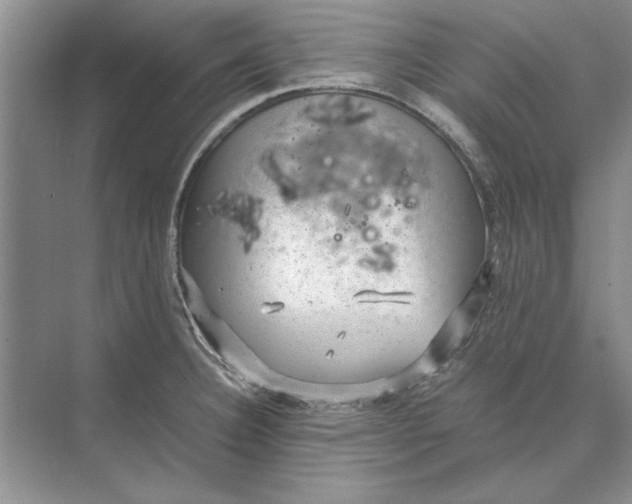 X0000072531332200608111736