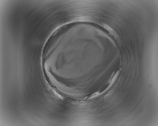 X0000072531334200608111736