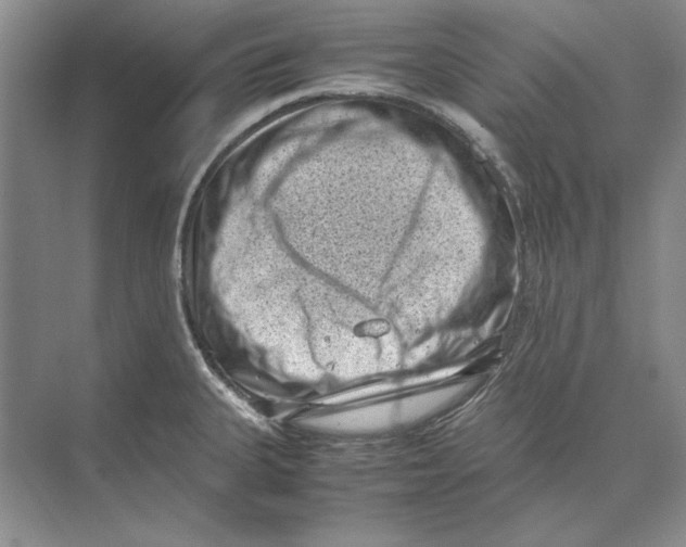 X0000072531335200608111736