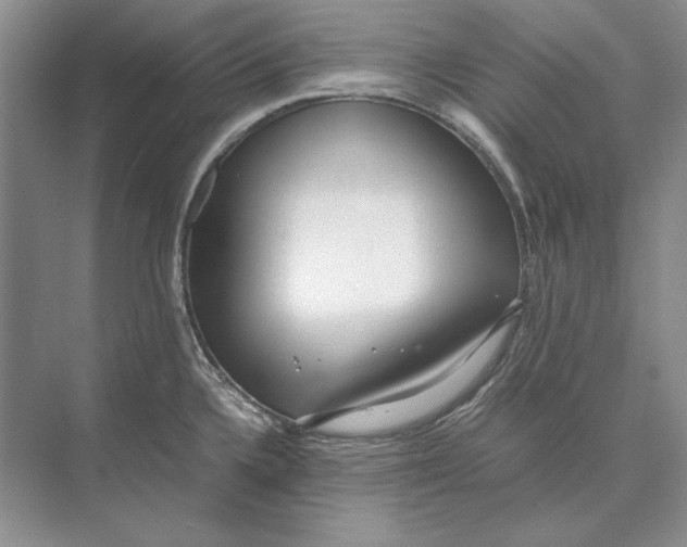 X0000072531336200608111736