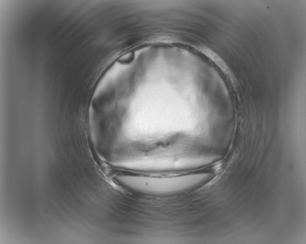 X0000072531337200608111736