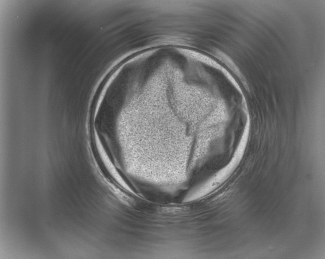 X0000072531339200608111736