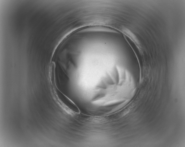 X0000072531340200608111736