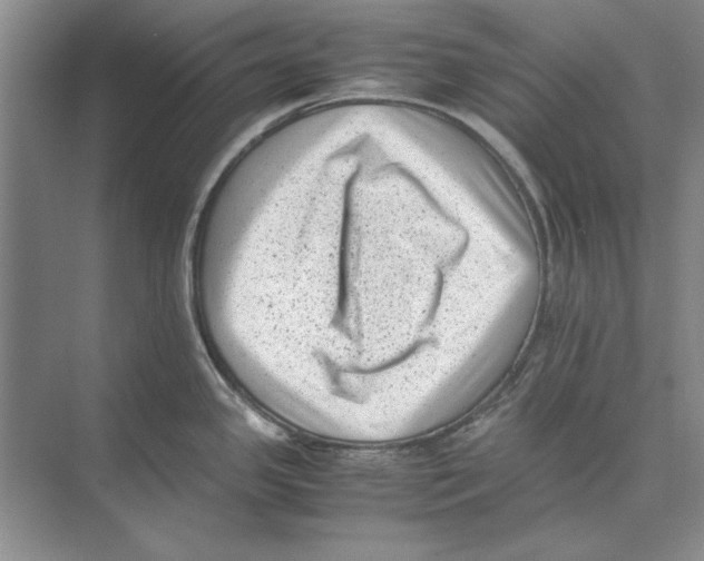 X0000072531341200608111736