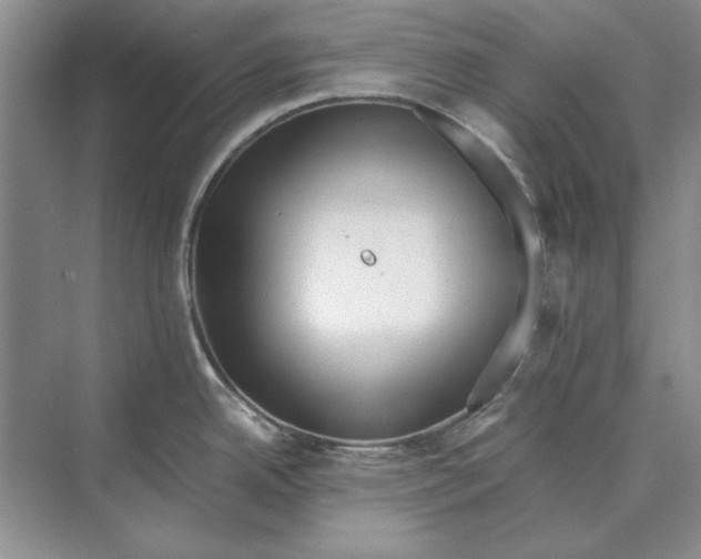 X0000072531342200608111736