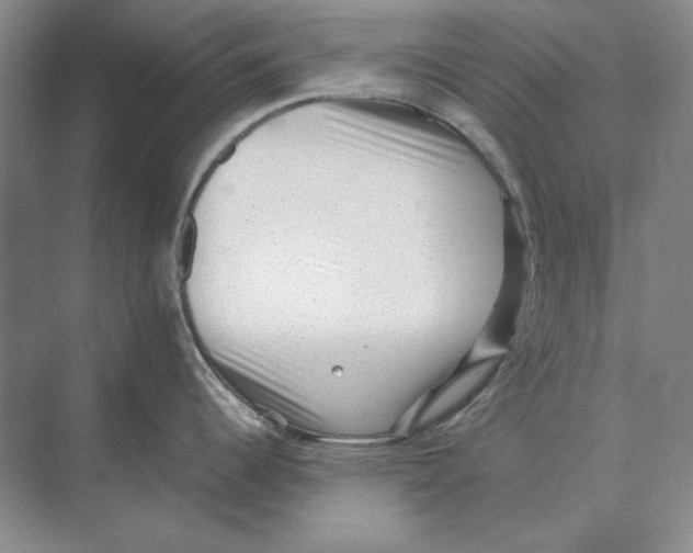 X0000072531344200608111736