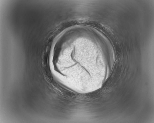 X0000072531349200608111735