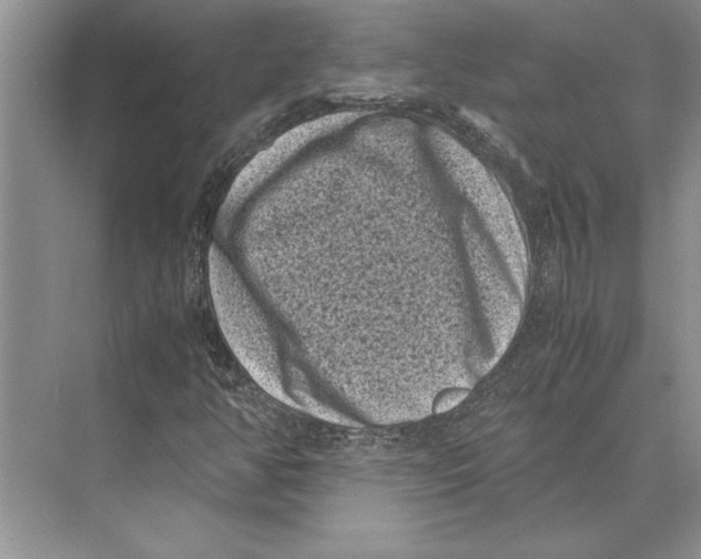 X0000072531350200608111735