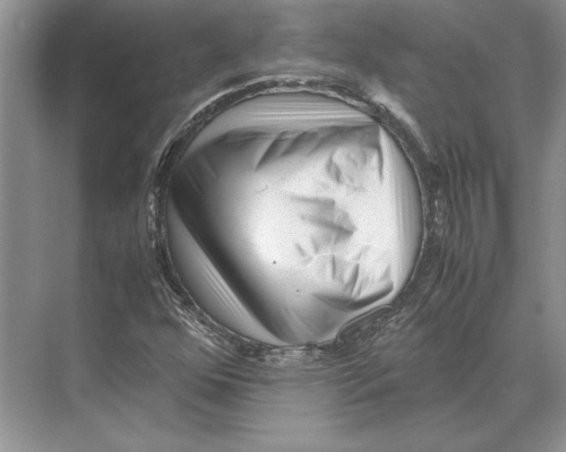 X0000072531352200608111735