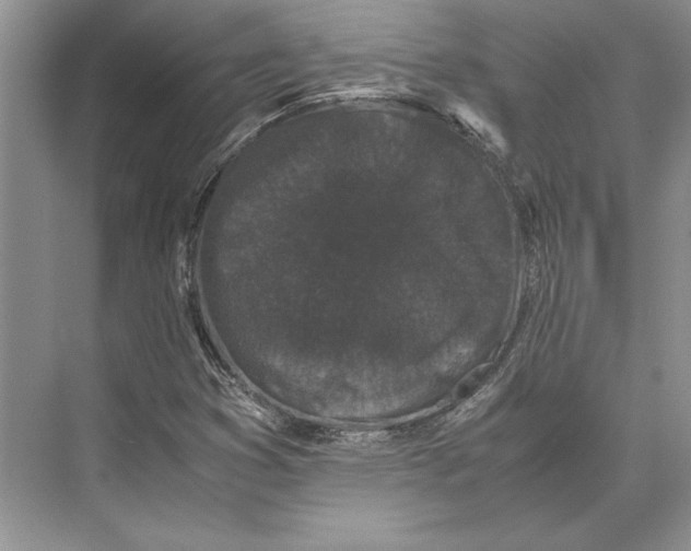 X0000072531353200608111735