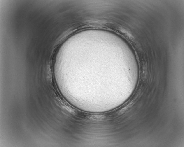 X0000072531354200608111735