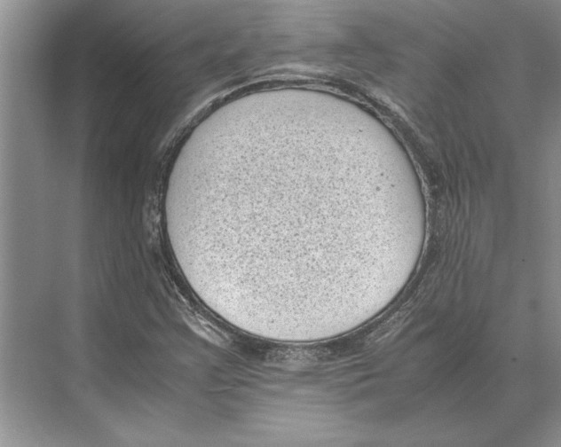 X0000072531355200608111735