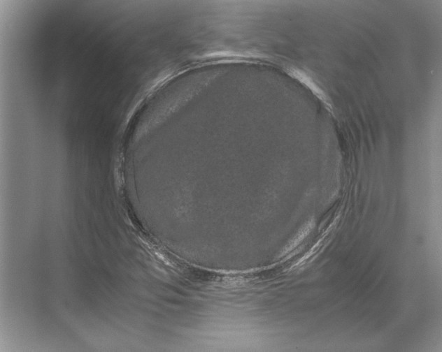 X0000072531357200608111735