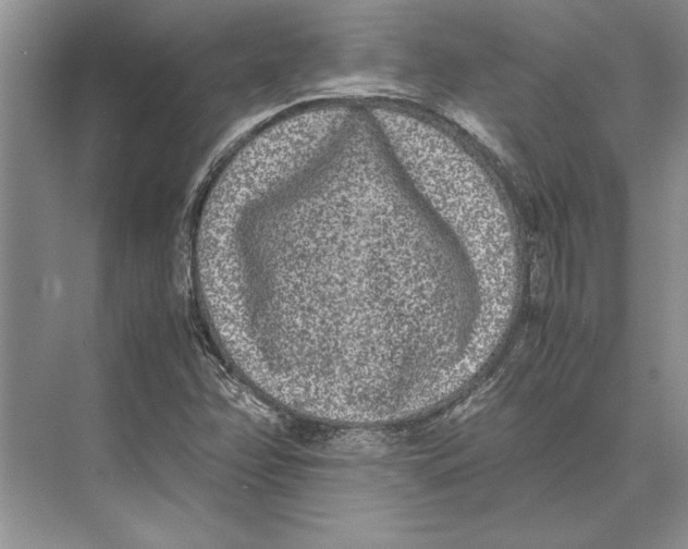 X0000072531358200608111735