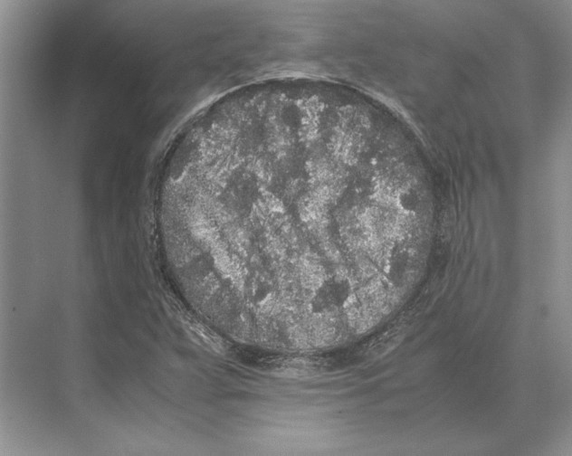 X0000072531359200608111735