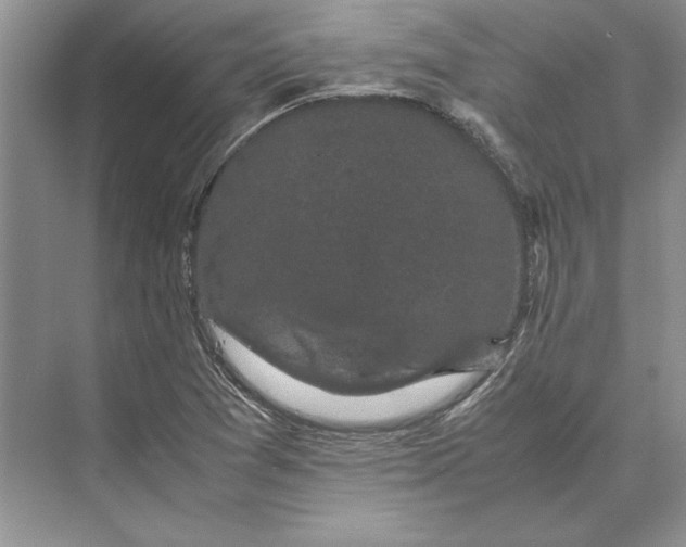 X0000072531361200608111735