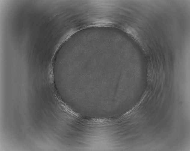 X0000072531362200608111735