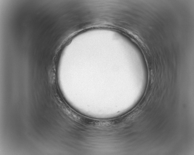 X0000072531363200608111735