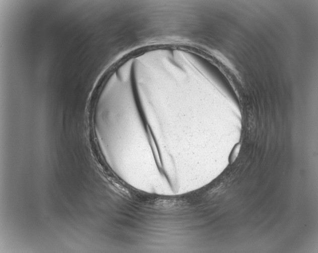 X0000072531364200608111735