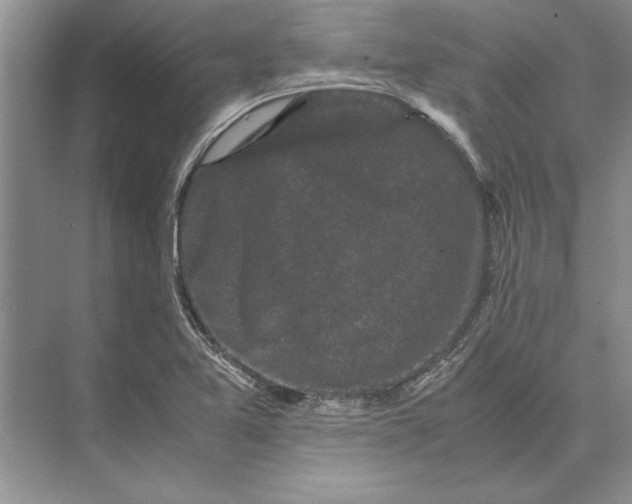 X0000072531365200608111735