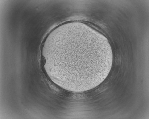 X0000072531366200608111735