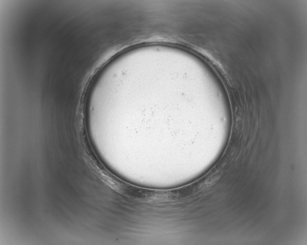 X0000072531367200608111735