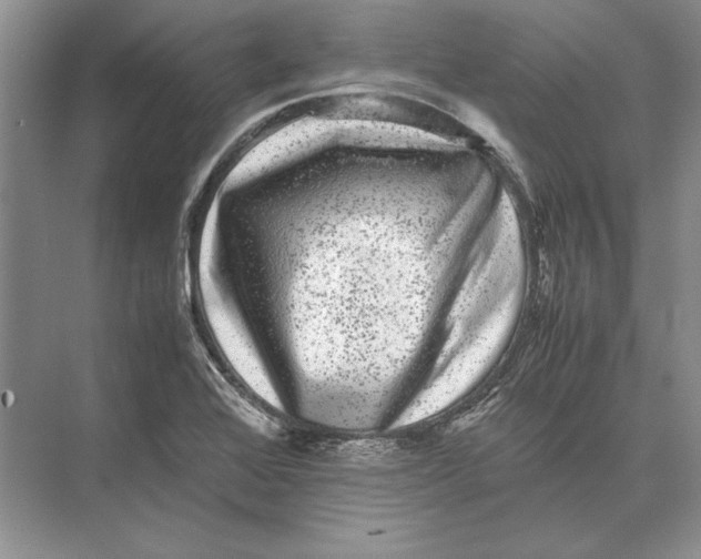 X0000072531368200608111735