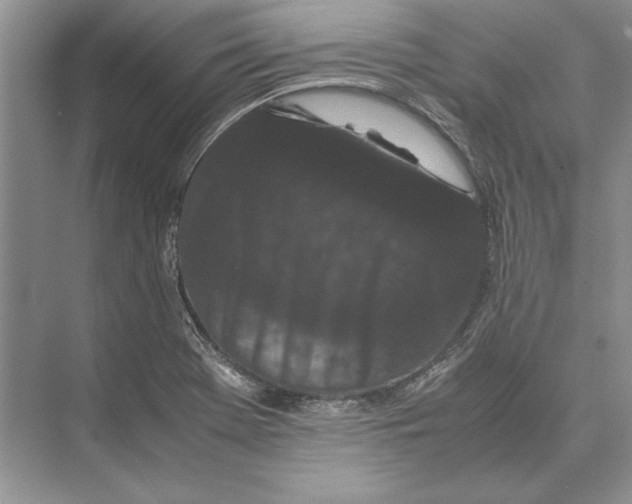 X0000072531369200608111735