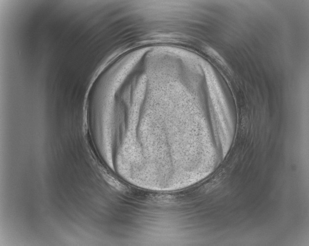 X0000072531370200608111735