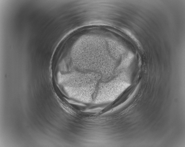 X0000072531372200608111735