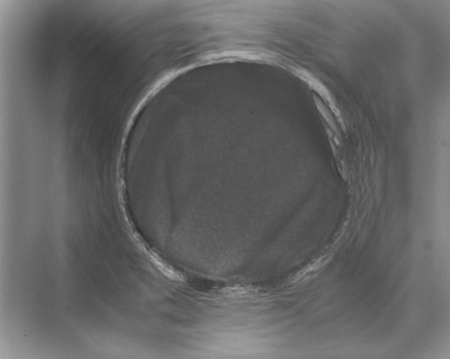 X0000072531373200608111735