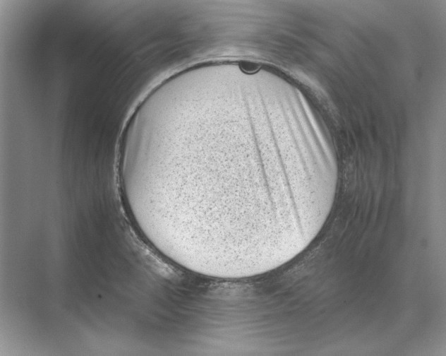 X0000072531374200608111735