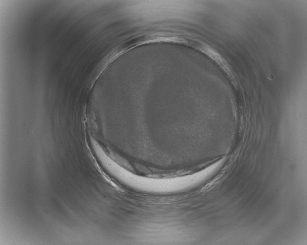 X0000072531377200608111735