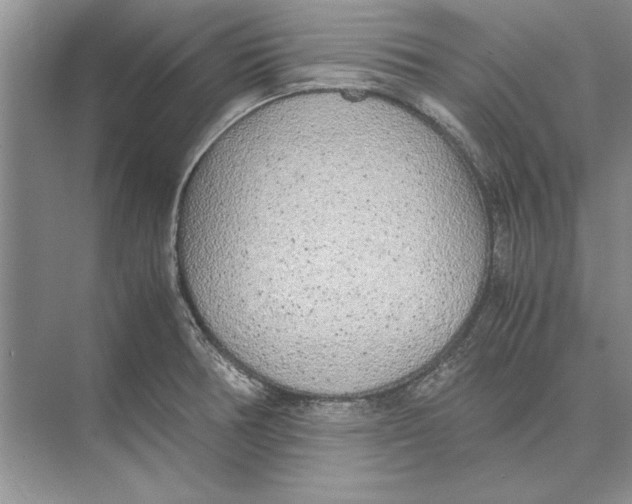 X0000072531378200608111735