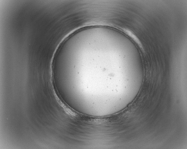 X0000072531380200608111735